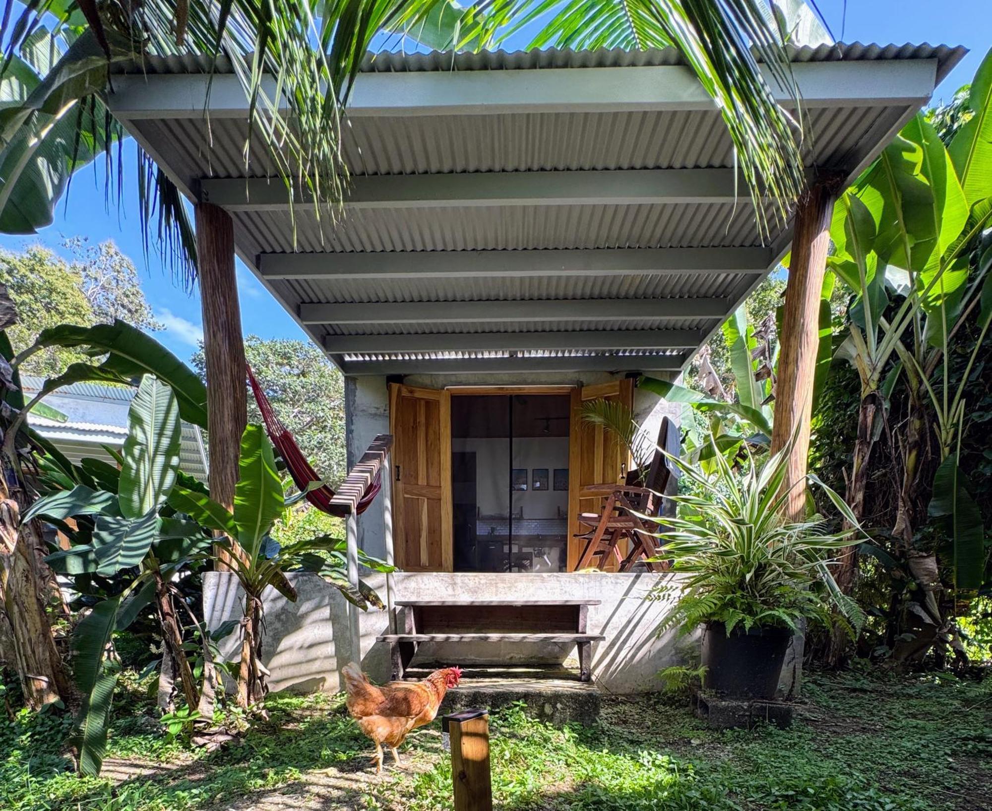 Casa Salvaje Vacation Rentals Бокас-дель-Торо Экстерьер фото